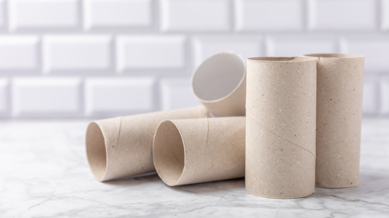 Empty toilet paper tubes