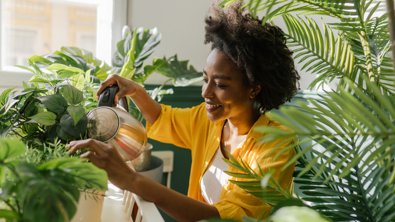 Woman waters houseplants