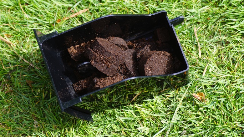Coffee grounds in container on lawn