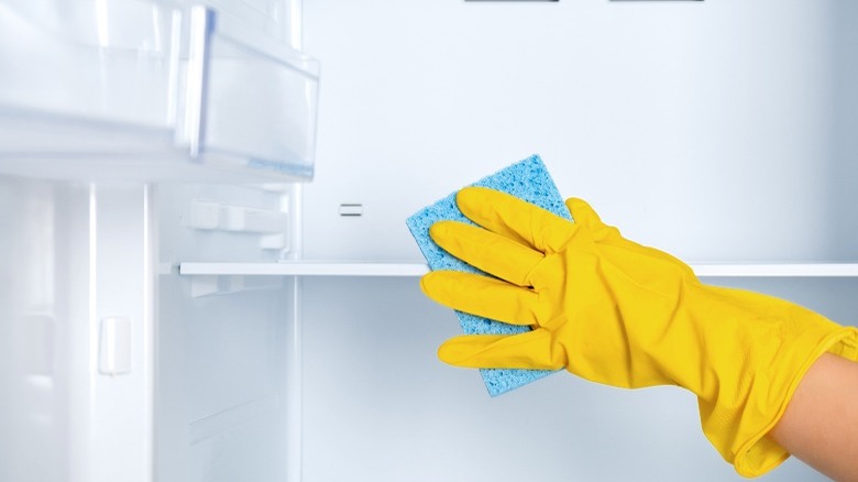 Yellow gloved hand holding blue sponge in fridge