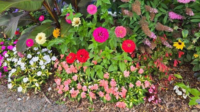 garden along sidewalk