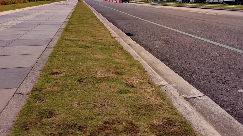 hellstrip between sidewalk and street