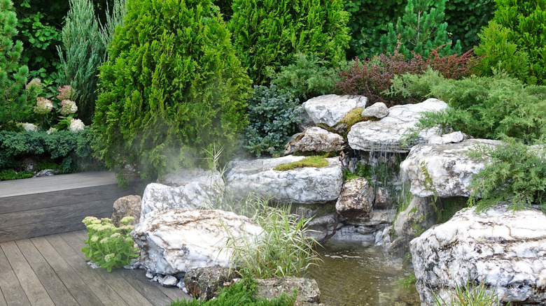 decorative backyard garden