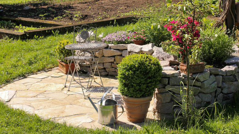 sunny place in the garden