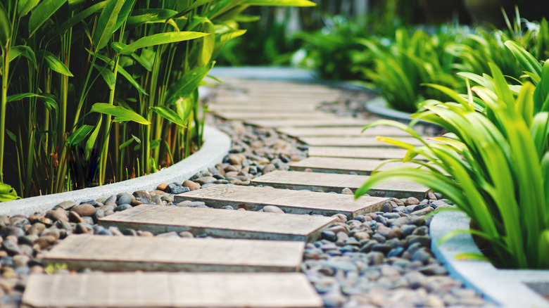 alley in tropical garden