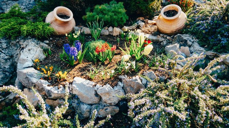 flowerbed among stones