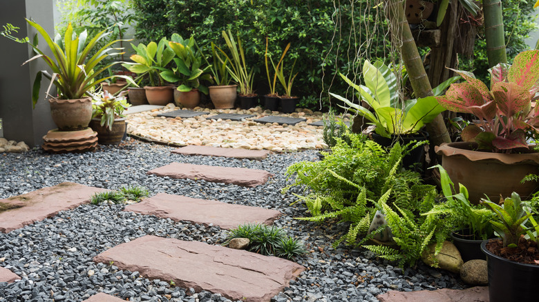 pathway to a home garden