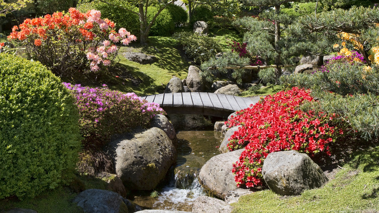 small stream in garden