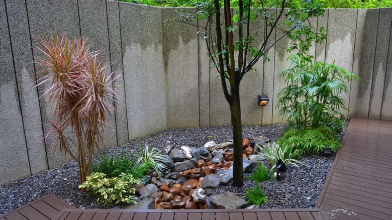 decorative potted trees in garden