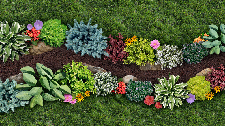 perennial garden with rocks