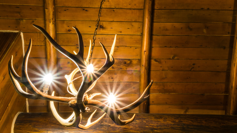 Rustic antler chandelier