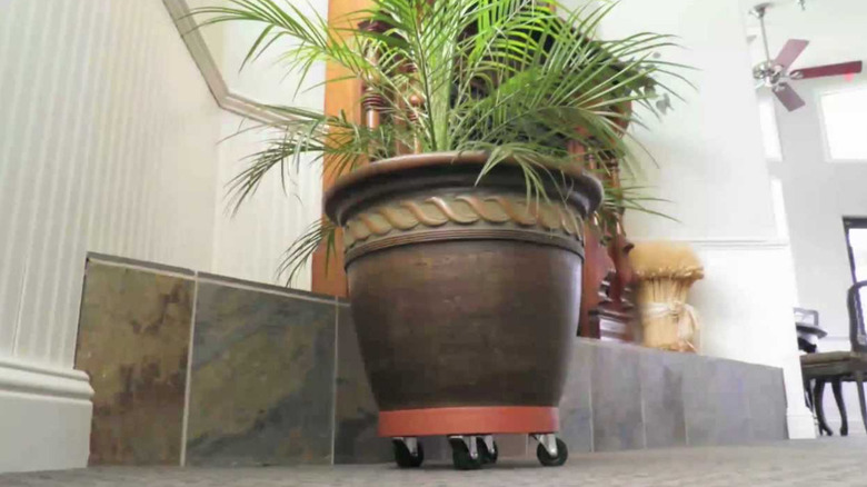 plant stand on wheels