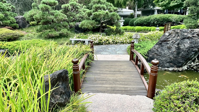 Wooden bridge in garden