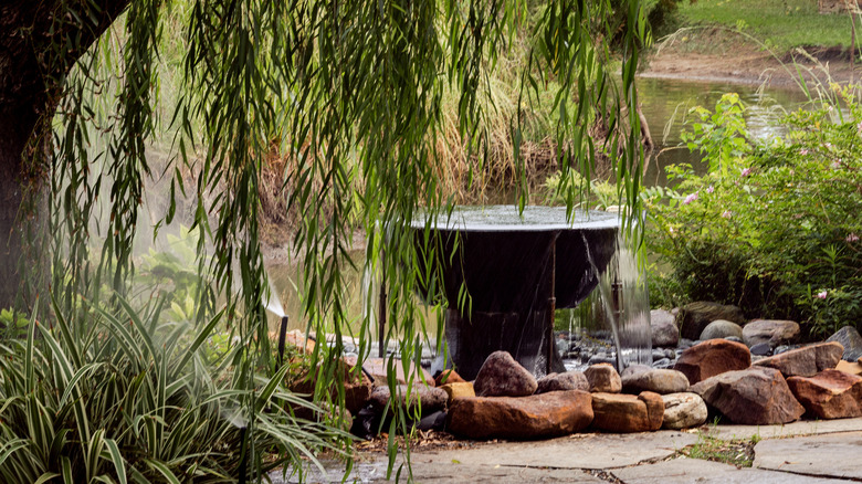 Large bowl-style water fountain