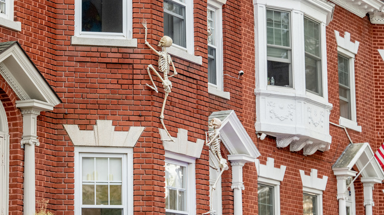 Skeletons climbing