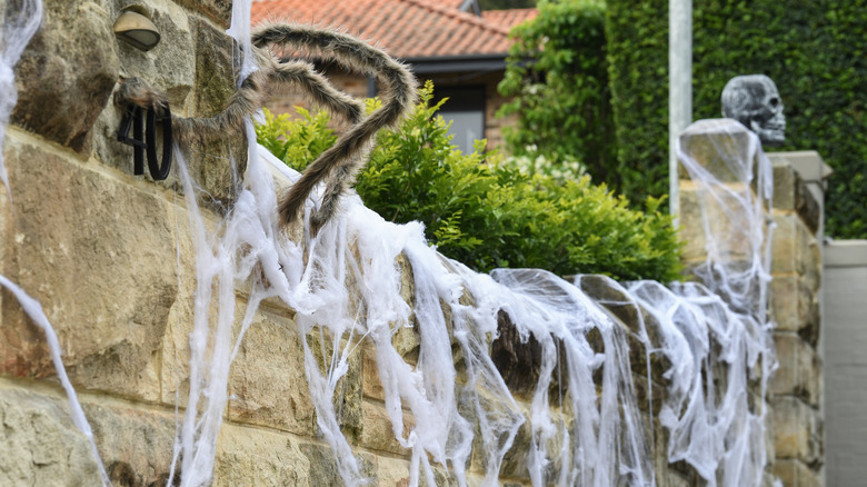 Webs on stone fence