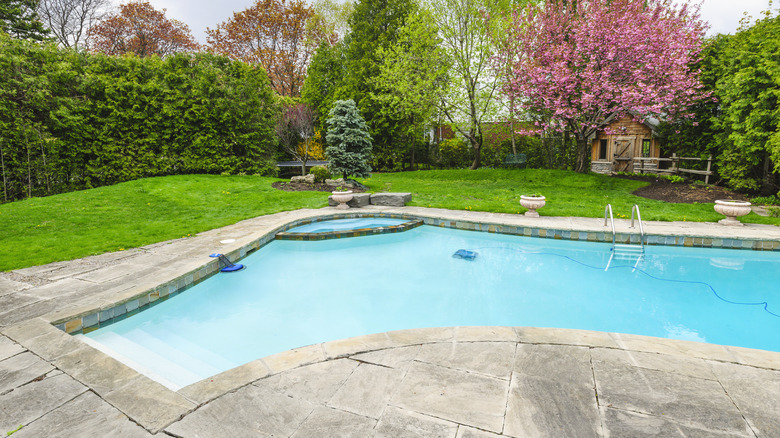 Outdoor pool and shed