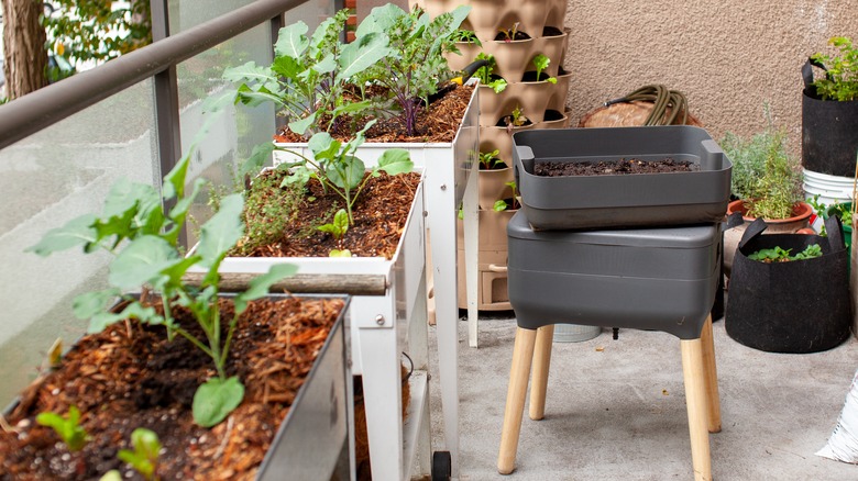 porch plant beds