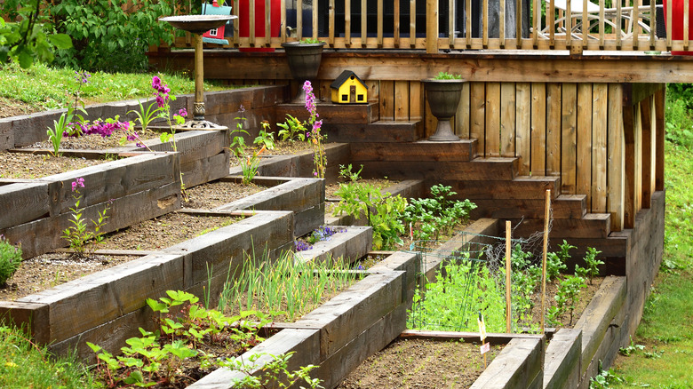 stair garden beds