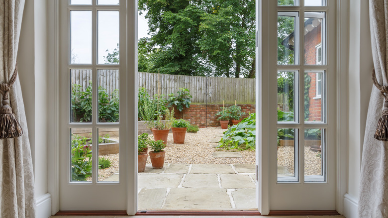 plants in terracotta pots