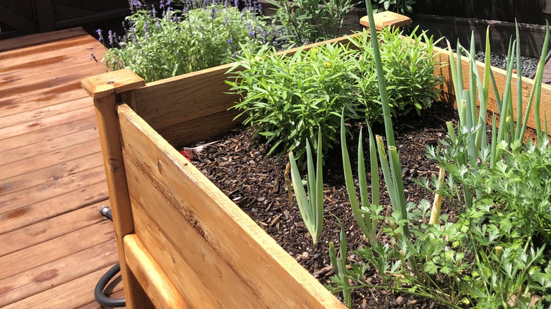 wooden garden bed