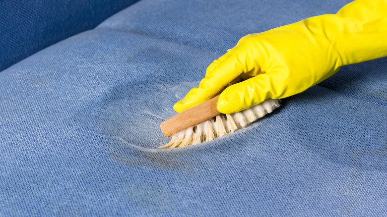 Gloved hand scrubbing blue sofa