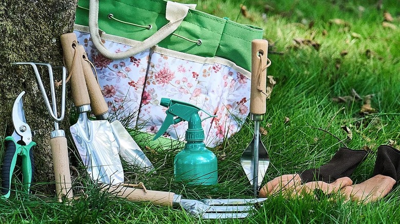 Metal gardening tools laid out in front of carrying tote