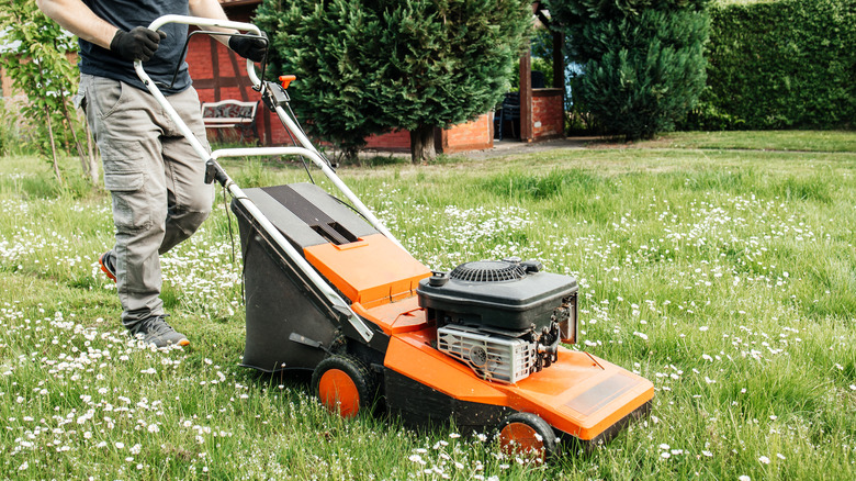 person mowing lawn with weeds