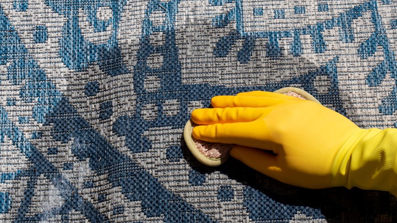 Scrubbing carpet with sponge