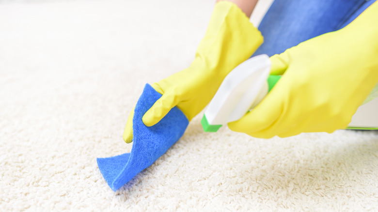 Spray bottle cleaning carpet