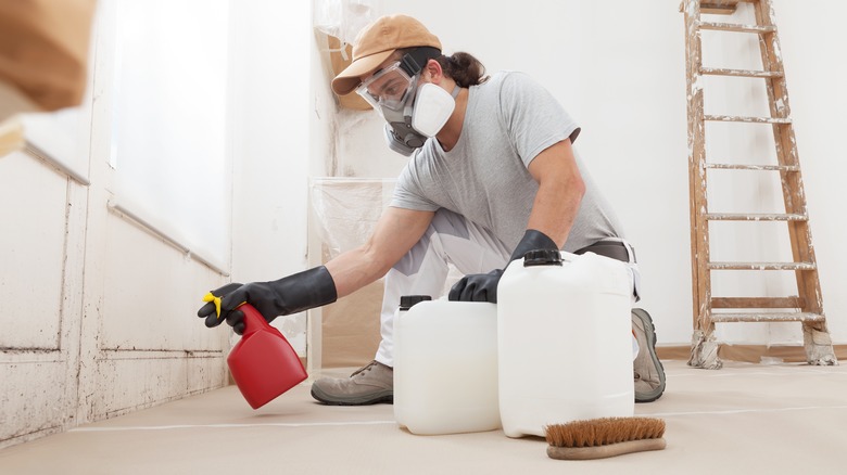 professional removing mold