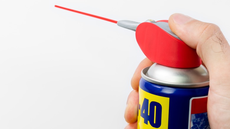 person holding WD-40