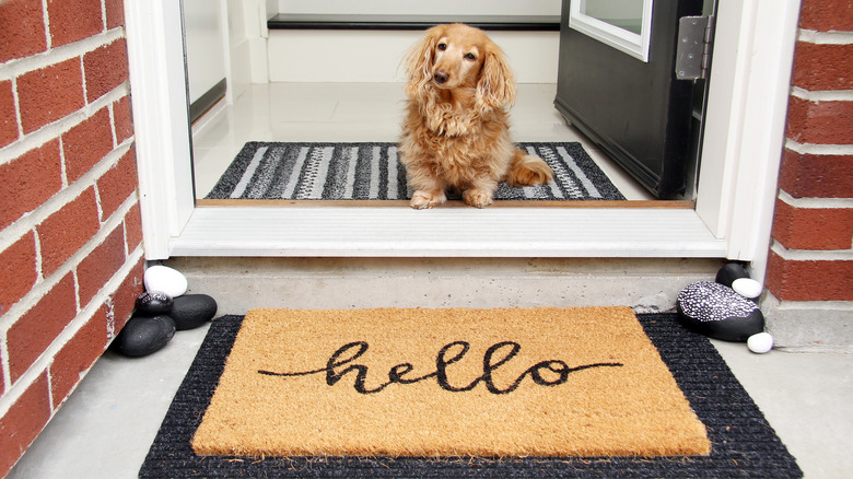 doormat by a door