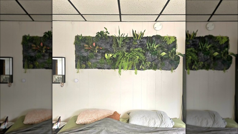 A plant used as a headboard alternative