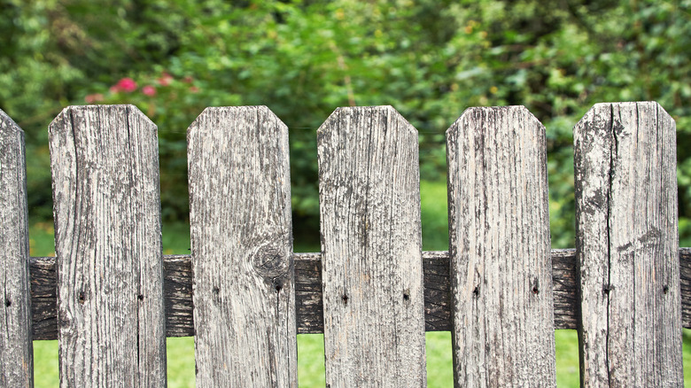 An old, faded grey fence