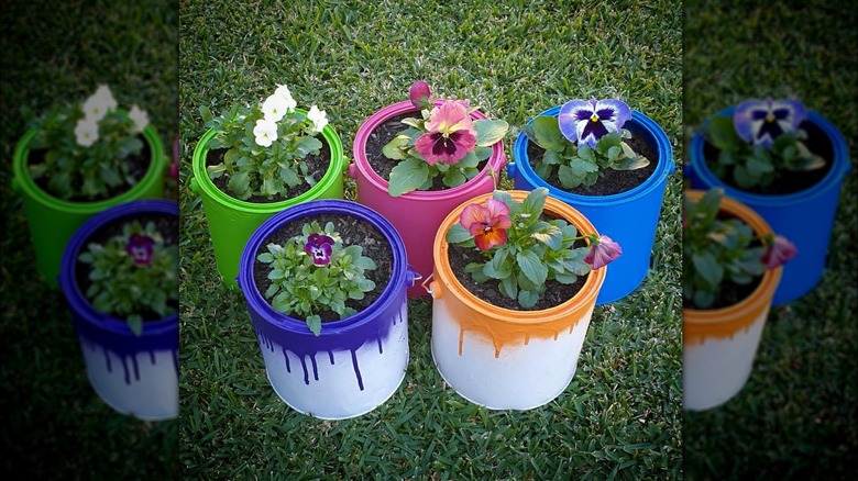 colorful paint can planters