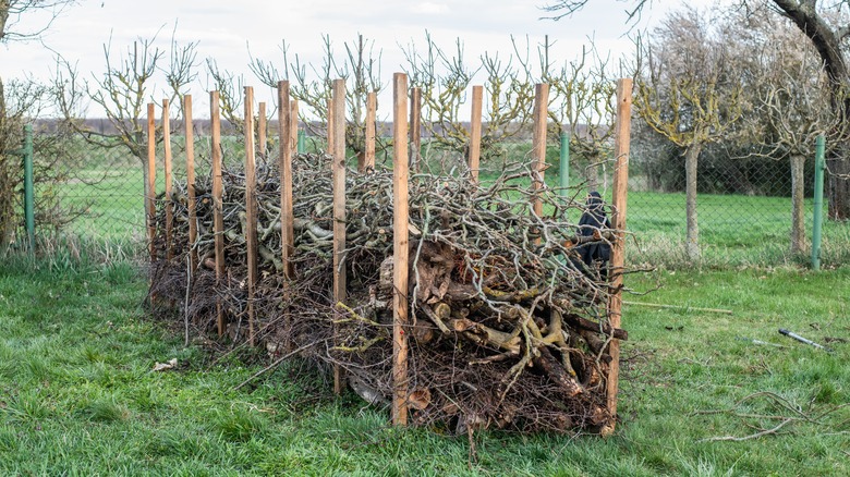 dead hedge in green yard