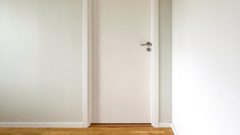 Flat white interior door against light gray-green wall