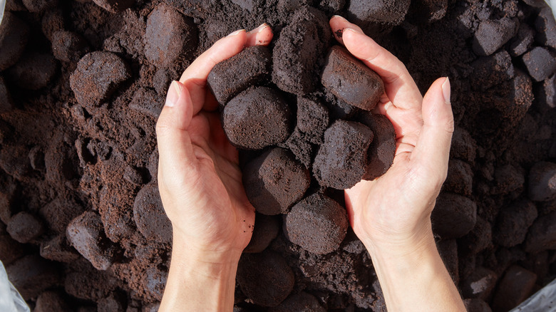 Hands scooping up coffee grounds