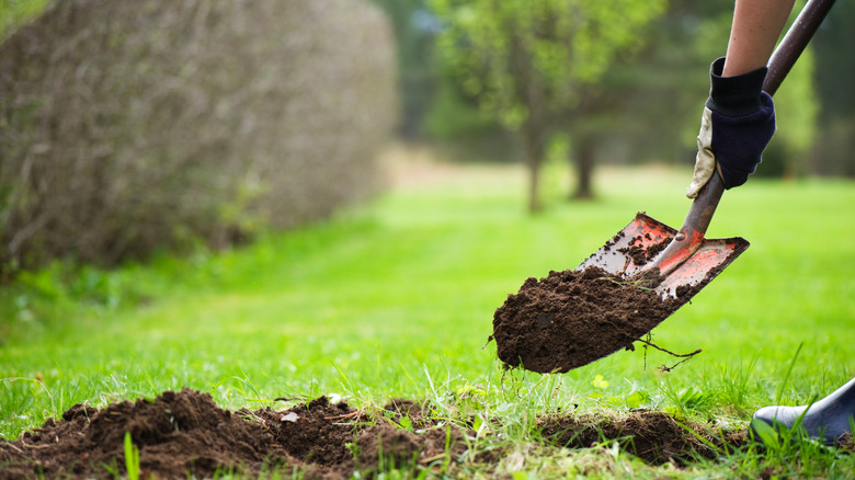 person digging hole with shovel