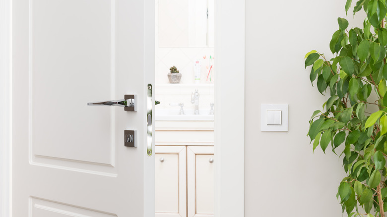 A halfway opened door reveals the inside of a bathroom