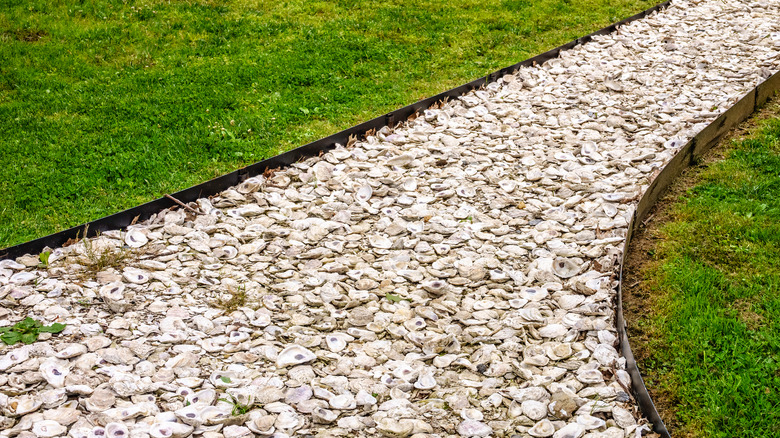 Walkway of oyster shells