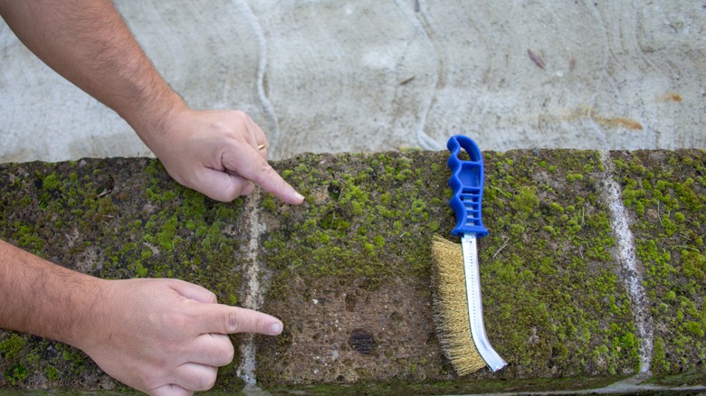 cleaning brick with scrub brush