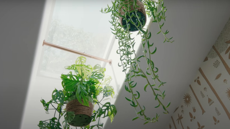 skylight in Justina Blakeney's bathroom