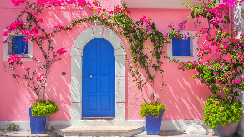 Pink exterior walls blue door