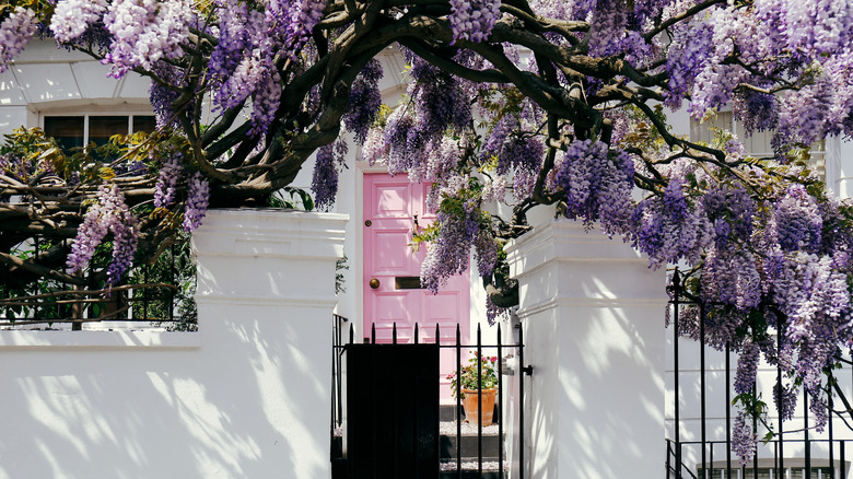 White townhouse pink front door