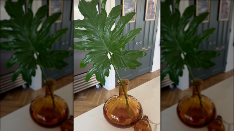 leaf clipping in decanter bottle