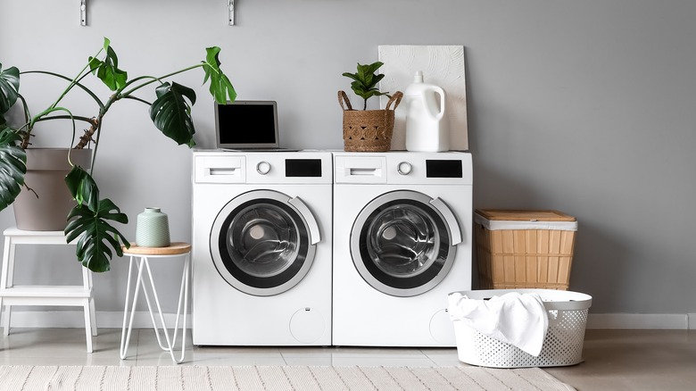 Laundry room with houseplants