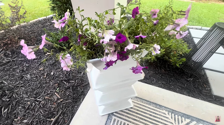 Screenshot of a completed planter made from six Dollar Tree plastic planters.