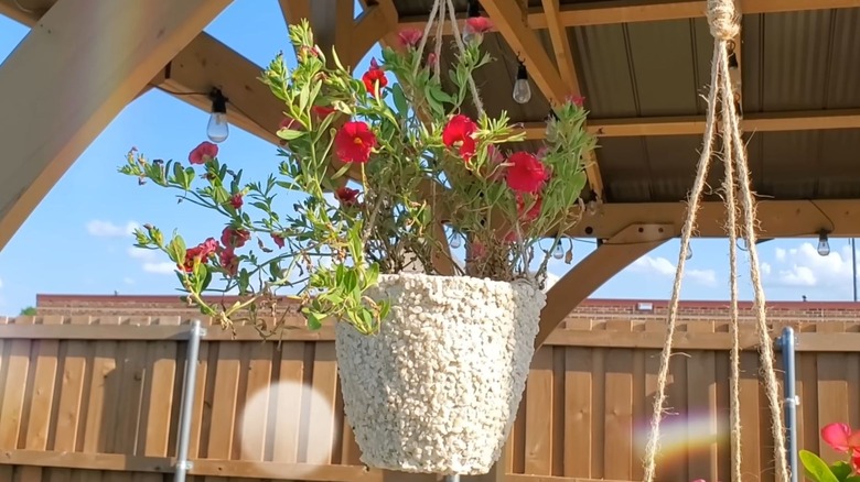 A beautiful hanging pot covered in white decorative pebbles holds lovely pink flowers.